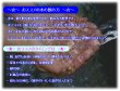 画像6: 霧島の福寿鉱泉水10L×2個セット (6)